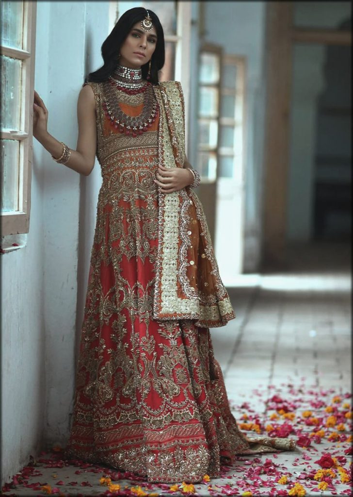 Red And Rust Embroidered Gown