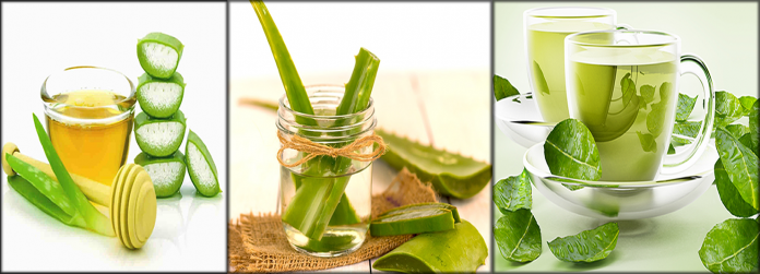 Homemade Aloe Vera Hair Mask