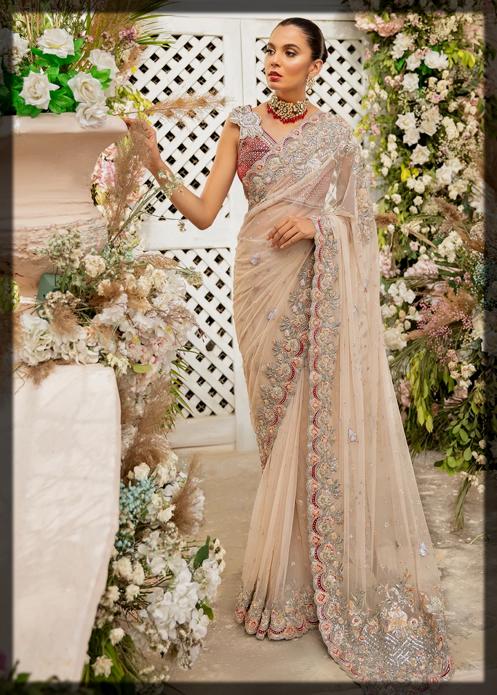 Tena Durrani Bridal Saree Collection