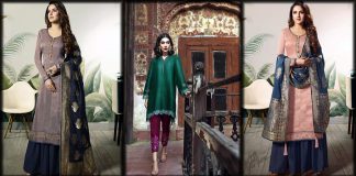 Pakistani Silk Dresses 2023 for Women - Casual and Party Wear Collection