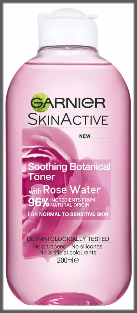 Garnier skin toner