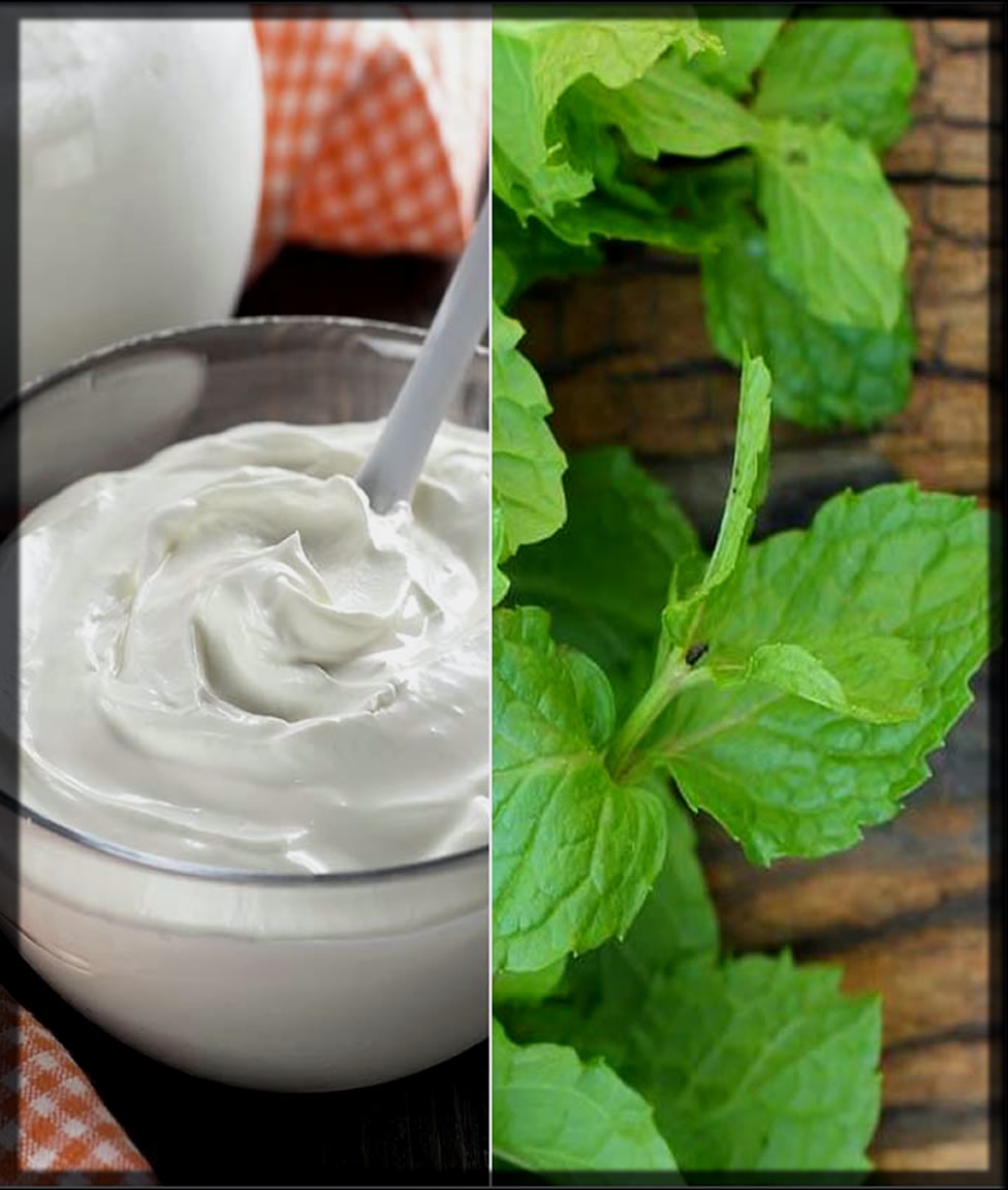 neem with yogurt homemade face pack