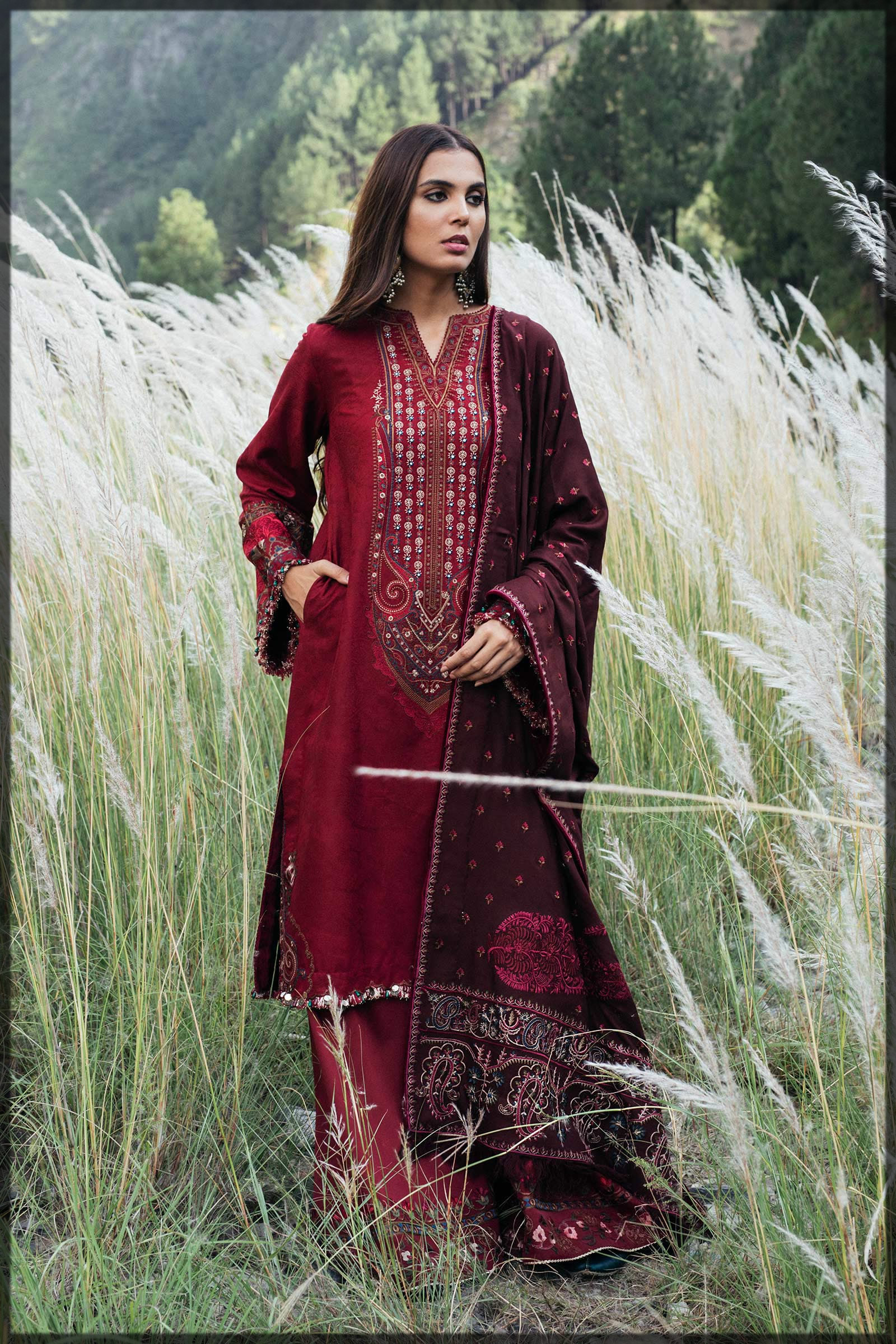 beautiful maroon embroidered dress