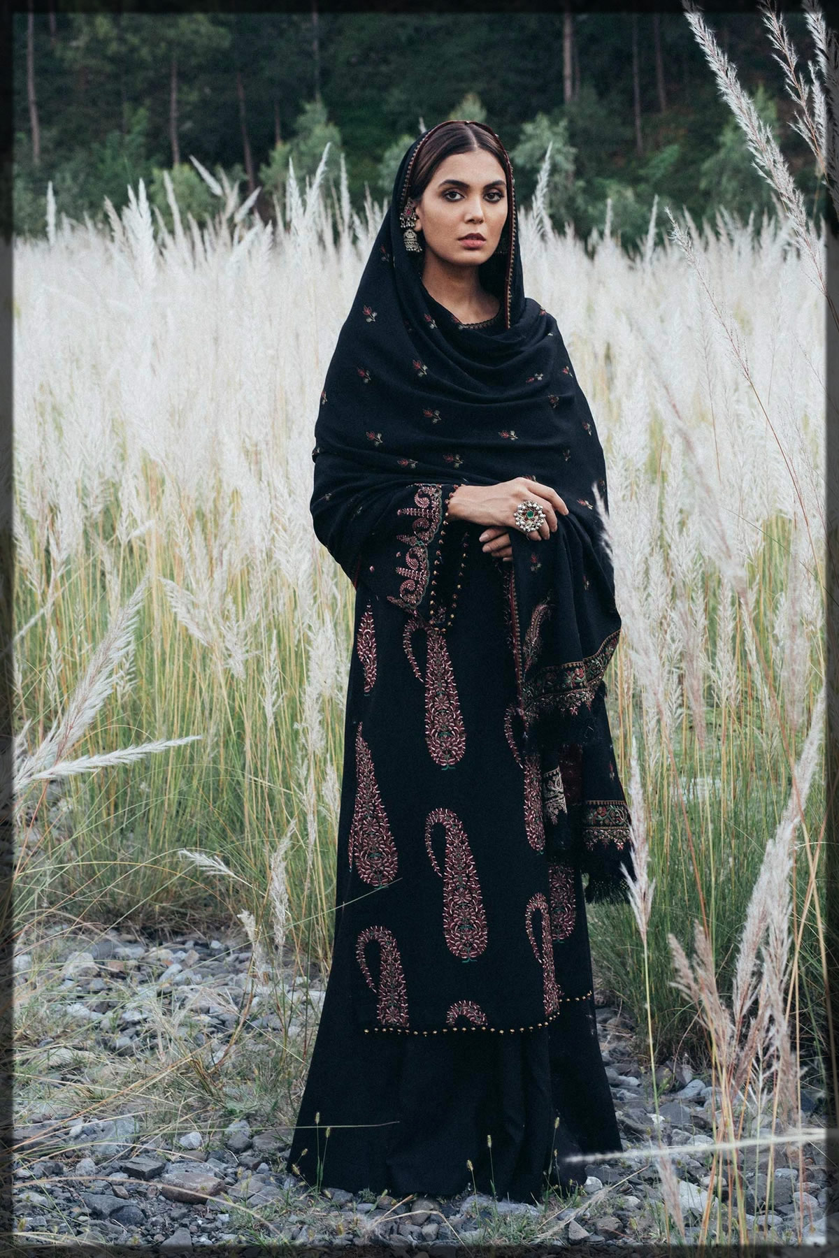 graceful black embroidered winter dress