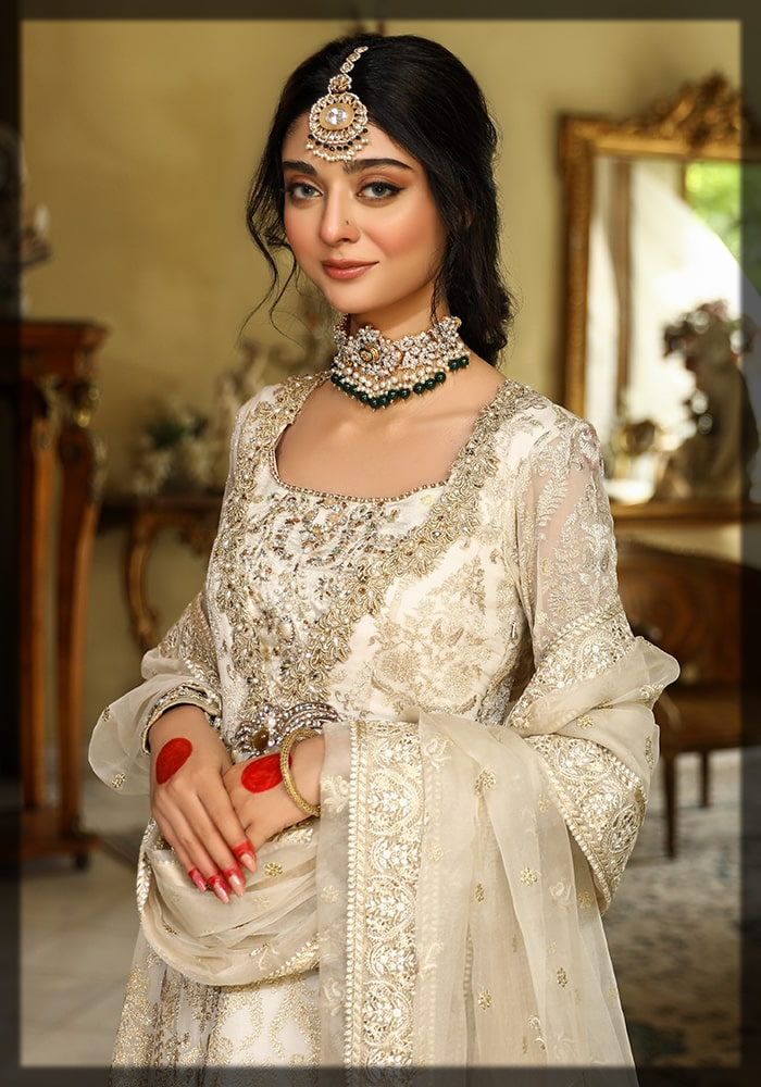 chiffon and organza embroidered suit