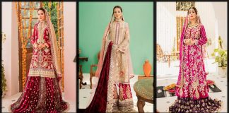 Sable Vogue Bridal Collection 2023 Latest Wedding Dresses for Women