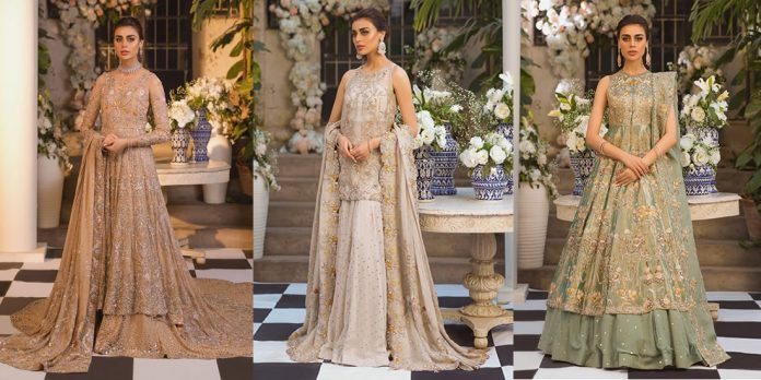 Shamsha Hashwani Bridal Collection