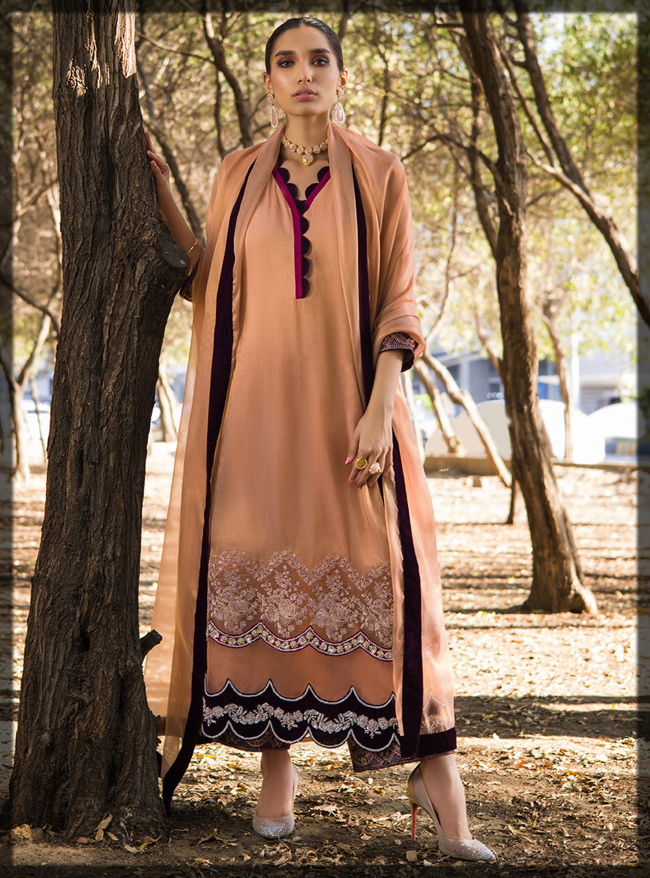 coral pink embroidered velvet dress