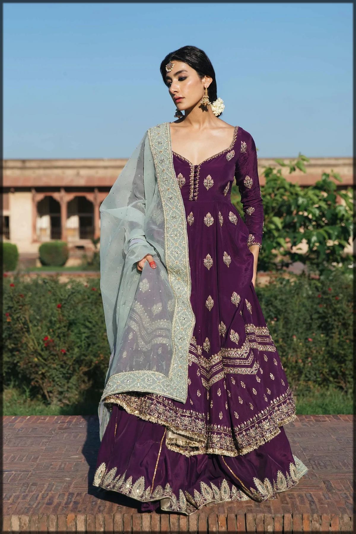purple luxury collection