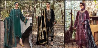 Maria B Winter Collection 2023 with Chiffon Dupatta and Shawl [Prices]