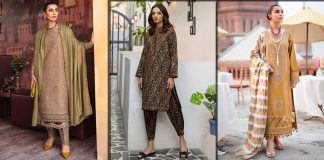 Rang Rasiya Winter Collection 2023 - Unstitched and Pret Dresses with Prices