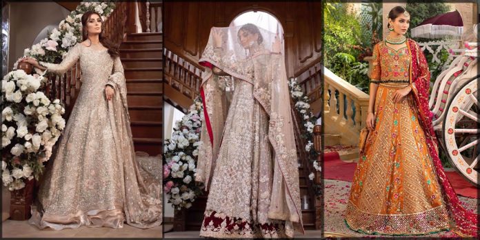 sheeba kapadia bridal collection for women